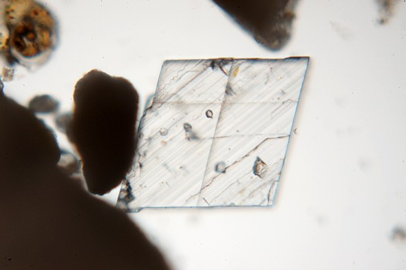 [ Mikroskopisch kleiner Calcitkristall aus dem Meerwasser vor Mali Losinj, Kroatien ]