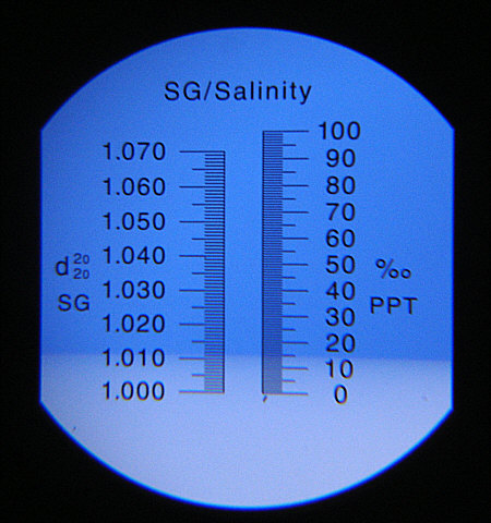 [ Refractometer for salinity measurement ]