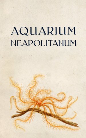 [ Aquarium Neapolitanum ]