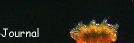 Titelfragment 1.3]